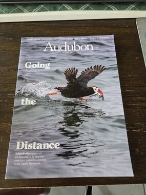 Audubon Magazine "Going the Distance" Cover - Puffin Image